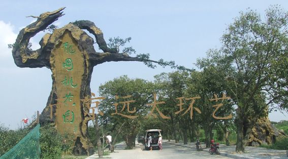 鹽城龍崗桃花園景區仿真樹大門工程